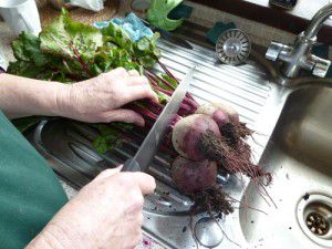 Cutting the Stalks off the Betroot