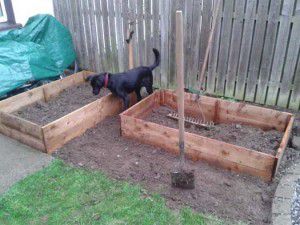 Raised-Vegetable-Beds-1