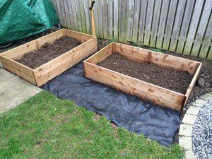 raised-vegetable-beds-2