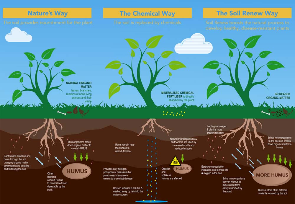 Buy Soil Renew Soil Conditioner - 100% Organic Fertiliser Alternative