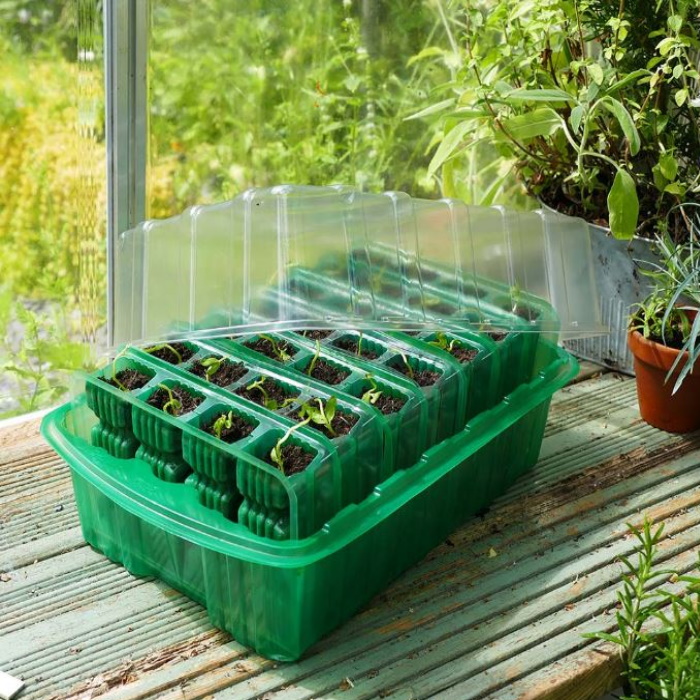Plant Trainer | Plug Tray For Growing Seeds