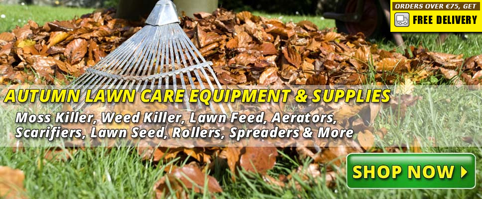 Autumn Lawn Care