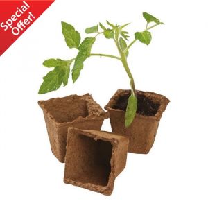 Square Fibre Plant Pots